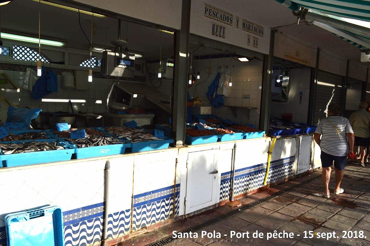 11 SANTA POLA PORT DE PECHE (28).JPG